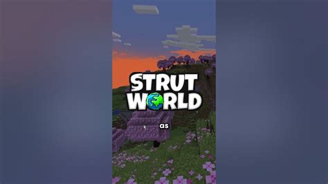 STRUT WORLD .